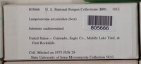 Image Associated With the Occurence